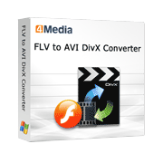 4Media FLV to AVI DivX Converter