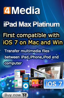 iPad Max Platinum