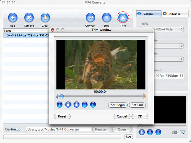 Convert to MP4 Mac