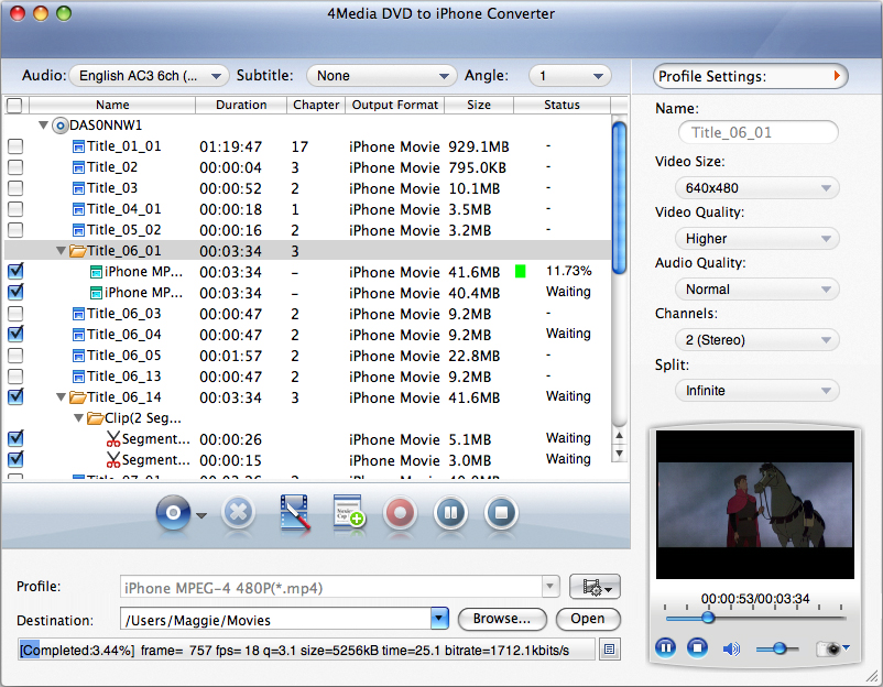 4Media DVD to iPhone Converter for Mac Screen shot