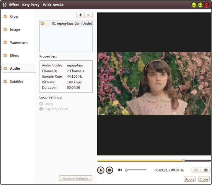 4Media Video Converter Ultimate