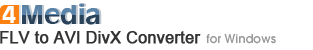 4Media FLV to AVI DivX Converter