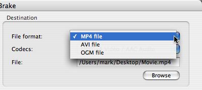 [Handbrake file format menu]